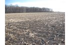 Property photo 13 - 44 Acres Offered in 3 Tracts